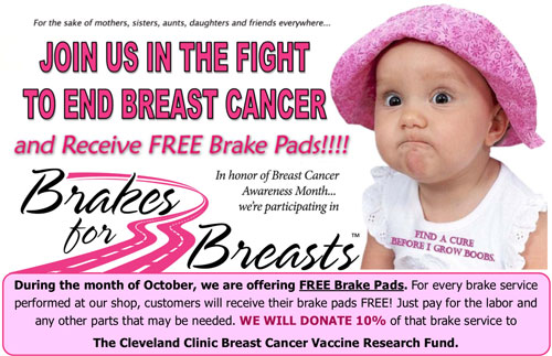 Brakes for Breasts Banner
